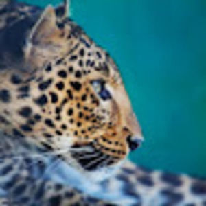 Meet your Posher, Catherine